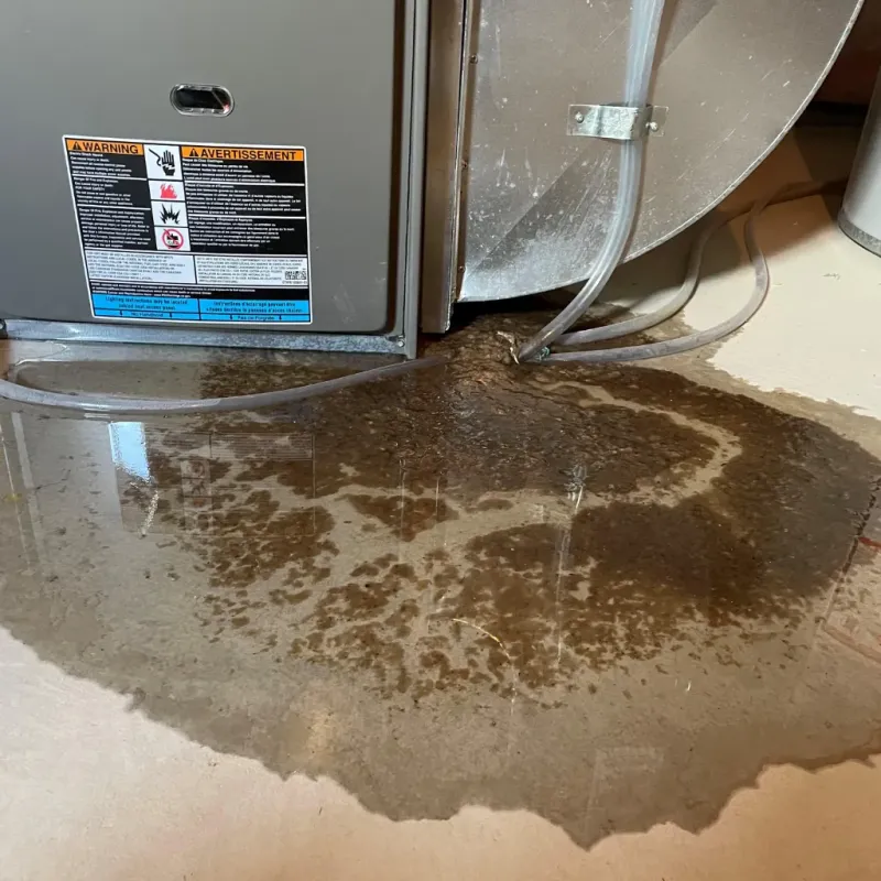 Appliance Leak Cleanup in Woodstock, AL